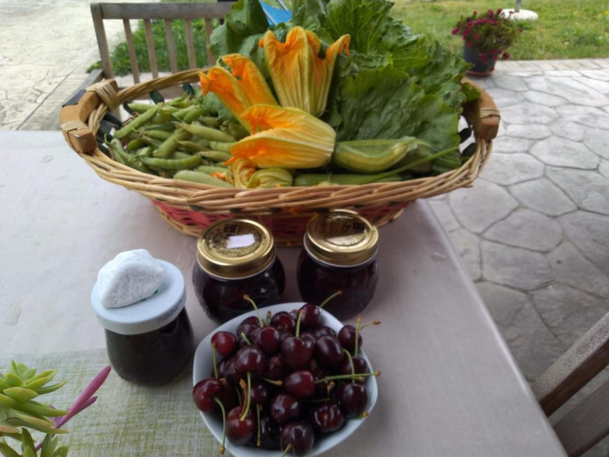 Agriturismo Allo Scoglio - Azienda Agricola ترييستي المظهر الخارجي الصورة