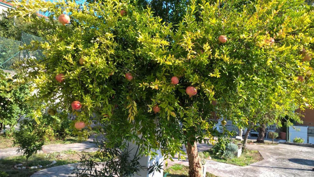 Agriturismo Allo Scoglio - Azienda Agricola ترييستي المظهر الخارجي الصورة